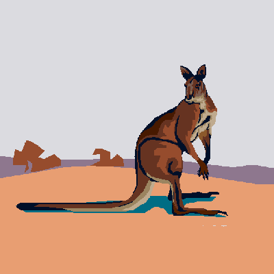 kangaroo